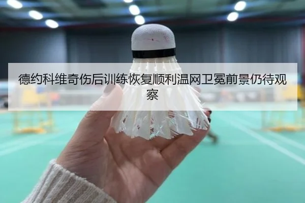 德约科维奇伤后训练恢复顺利温网卫冕前景仍待观察