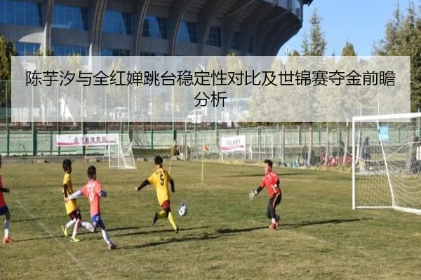 陈芋汐与全红婵跳台稳定性对比及世锦赛夺金前瞻分析