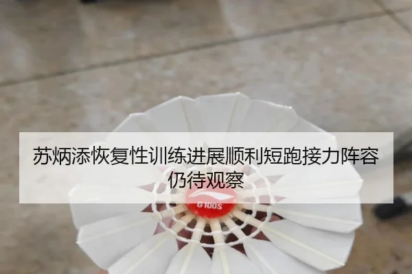苏炳添恢复性训练进展顺利短跑接力阵容仍待观察